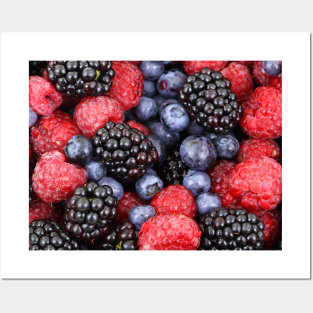 Summer fruits and berries Posters and Art